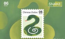 如果你是属蛇的人，根据九运离火的性质，哪些行业最适合你呢？