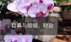 口鼻的卫生与保养与婚姻和财运之间的紧密联系与影响