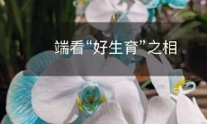 探究好生育现象的重要性:从不同角度深入分析