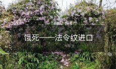 法律限制下的进口美容法令纹术致饥饿身亡的悲剧事件