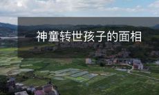 神童化身:探究转世孩子面相的神秘之谜