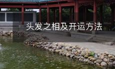 如何通过头发的外表和质地来探寻你的命运,以及如何运用这些信息来改善你的运气和生活?