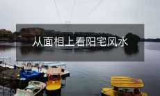 - 以面相为依据的阳宅风水探讨:如何利用面相寻找佳居?