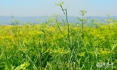 十一月旅游黄历 | 旅游出行的吉日与宜忌指南