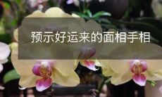 掌握在你手中:如何识别面相和手相预示好运?