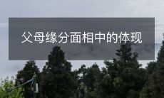 从面相中解读父母缘分：如何观察面相体现父母缘分的迹象
