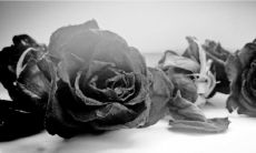 四大常见的断头婚是什么,对于这种婚姻类型,我们应该了解些什么?