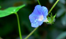 去和谐的气氛下约会星座，你将学到什么？