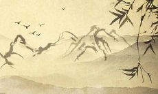 由"Hold onto Flowing Water"转化而来的坎为水卦:全面解析吉凶运势