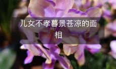 面容苍凉,未孝子女的养老困境