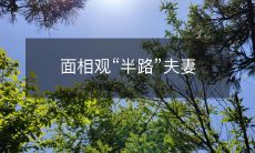 夫妻面相观察:从认识到婚姻生活中的变化与发展