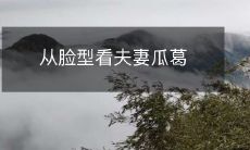 如何从夫妻的脸型看出他们之间的关系?