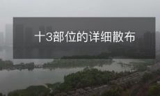 十三个人体部位的详细分布解析