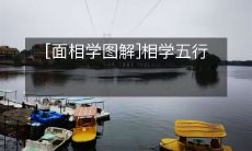 解析：如何利用面相学中的五行理论来为自己制定个性化生活和职业规划？
