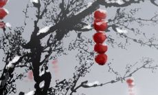 2023年情人节出生的孩子是否具备非常高的理财天赋?他们的未来命运会如何?