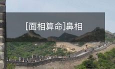 浅析:人体器官和运势的关系——探讨鼻相算命