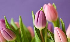 2023年注定成为你脱单的八字！乙丑日柱特别凑巧，预示着你的婚姻运势不仅看好，更是不容错过的良机！