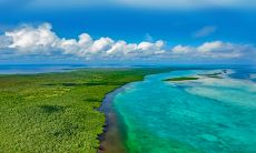 2023年立春出生的兔宝宝,是否具有头脑清晰冷静谨慎的优点?