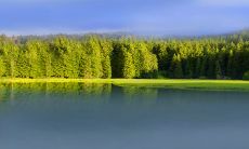 立春出生的宝宝在2023年的属相是什么?他们的性格特点是怎样的?