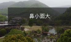 鼻子短小而脸部轮廓较为宽大的面容特征