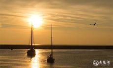 新年第一天发烧:揭示的意义与预防感冒的重要注意事项