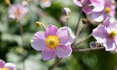 大年初二生病,是否有适宜的医疗方式?是否在过年期间就诊?