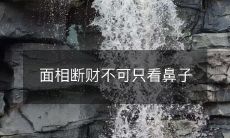 面相断财不可仅依据鼻子，还需综合多个特征进行判断