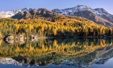 2023年2月25日每日五行穿衣推荐:选取当日最精选穿衣颜色建议