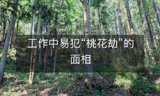 在职场中出现桃花劫的概率高的面相特征与应对方法探析