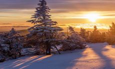 2023年3月13日每日五行穿衣指南：把握五行旺运颜色，助你迎接好运！