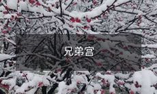 探秘充满兄弟情的历史建筑——兄弟宫