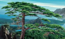 推荐2023年3月6日每日五行穿衣，不容错过的今日颜色趋势！