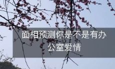 根据面相预测,你是否可能在办公室陷入爱情的漩涡中?