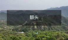 面积和头发数量的综合影响因素:额头宽窄和发际线高低的相关性研究