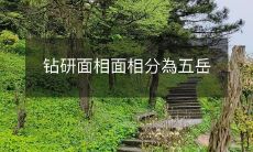 探索中国面相学:从五岳面相到面相分类