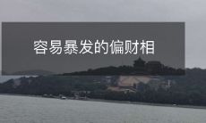 养:如何防范偏财相养成的财务风险,避免其引发的潜在暴发风险?