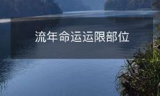 尝试探究:年轮演绎命运轨迹,探讨运势偏向特定身体区域的可能性