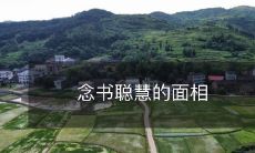 通过长期的学业积累,能够显现出来的智慧气质——念书聪慧的面相