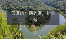 薄耳肉：薄如纸的耳块，财富总不聚集