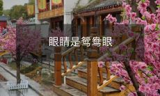 对于搭配的影响大于我们想象中的眼睛类型——鸳鸯眼的独特魅力