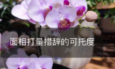 如何通过面相观察和措辞分析来提高可靠性?