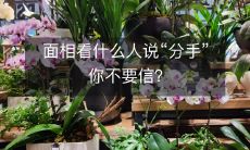 如何通过对面相进行分析，避免信任错误的对方并避免分手？