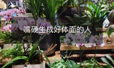 如何通过口吐芬芳变得体面优雅?——探讨嘴硬生成好体面的人的秘诀