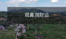 采用观察鼻部特征来研究个人财运之现象及其应用前景的分析与探讨