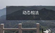 使用动态相法进行物理光学研究的原理、方法和技术