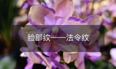 如何预防和消除脸部法令纹,这些细小皱纹如何影响你的面容和自信心?