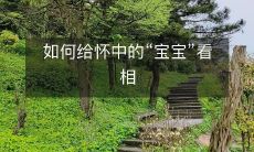 如何通过适当的角度、光线和表情，为你怀中的心爱“宝宝”拍摄完美的照片并展示他们的可爱、天真和无邪视角？