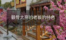 探讨颧骨特别高的老板的独特特质和个性表现