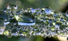 有哪些面相特征可以显示福报已被消耗完?