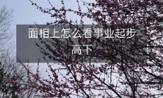 从面相上如何判断事业发展的高低起步水平?